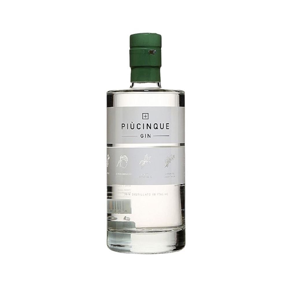 Gin G\'Vine Nouaison Small Batch Distilled Liquori Giulianelli, - 45%vol storici Enoteca Vini e Gin - Antica 70cl