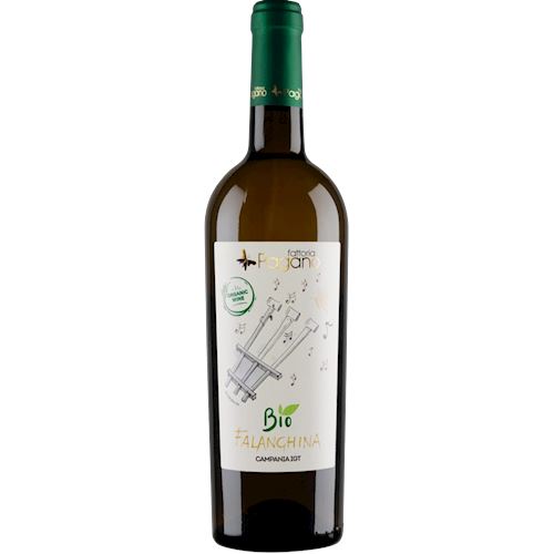 Falerno del Massico DOP Bianco 