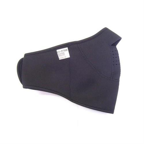 protezione-viso-ev-m750b