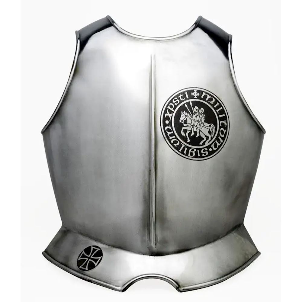 Warhammer 40k - Cavalieri Imperiali Chevaliers Dominus
