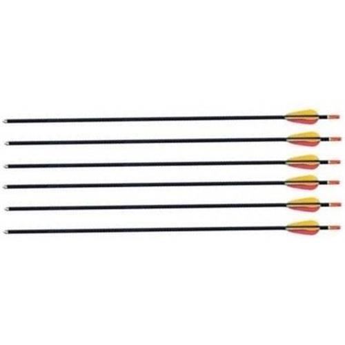 big-fun-line-6-frecce-da-29-in-alluminio-per-tiro-con-arco