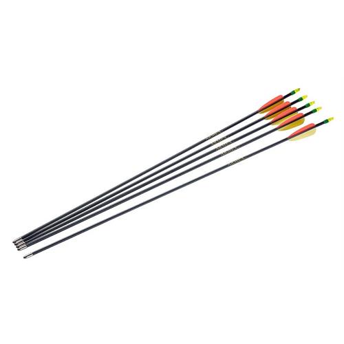 armex-5-frecce-da-30-in-fibra-con-punta-in-acciaio-per-tiro-con-arco