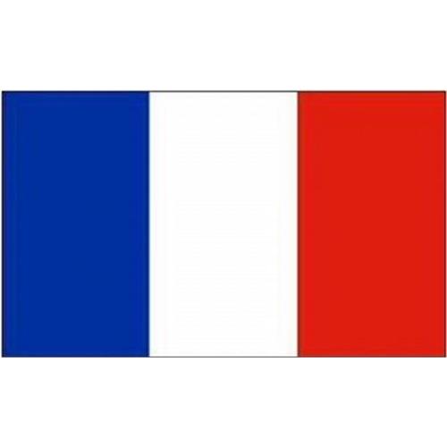 mil-tec-bandiera-francia