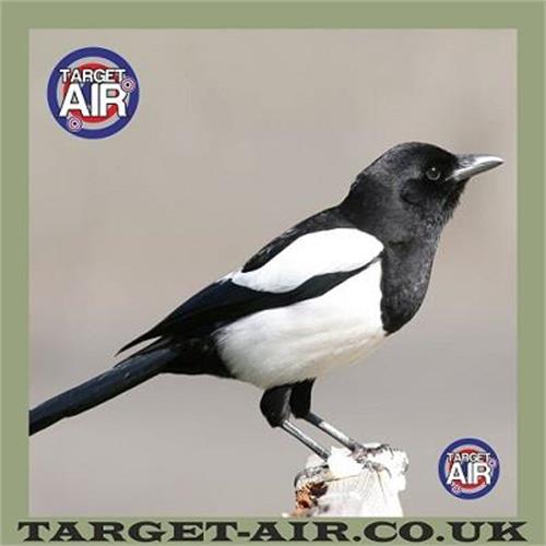 target-air-bersagli-di-carta-con-marcature-14x14cm-confezione-da-50pz