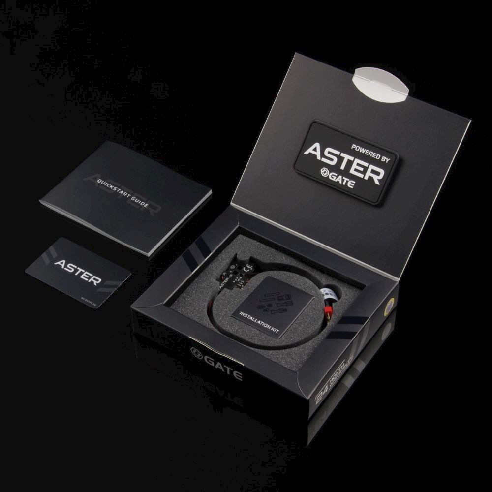 GATE ASTER V2 BASIC REAR WIRED CONTROL UNIT/MOSFET - IlSemaforo