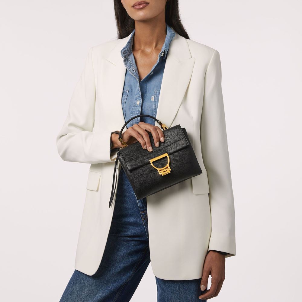 Coccinelle Handbags Coccinelle Arlettis Large Small Hand Bag