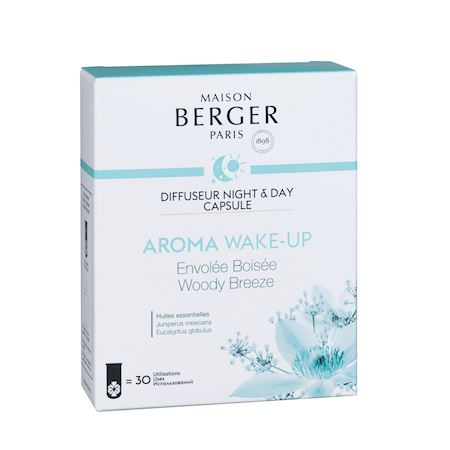 night and day diffuser berger