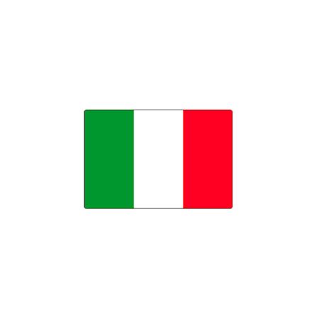 Bandiera italiana Bandiera Italia tricolore 100X150 CON ASTA e asola  NAZIONALE